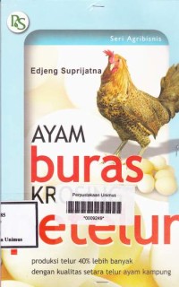 AYAM BURAS KROSING PETELUR