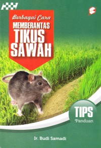 BERBAGAI CARA MEMBERANTAS TIKUS SAWAH