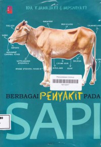 BERBAGAI PENYAKIT PADA SAPI