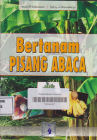 BERTANAM PISANG ABACA