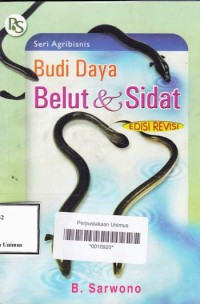 BUDI DAYA BELUT DAN SIDAT