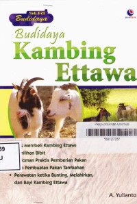 Budidaya kambing Ettawa