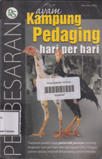 Image of PEMBESARAN AYAM KAMPUNG PEDAGING HARI PER HARI