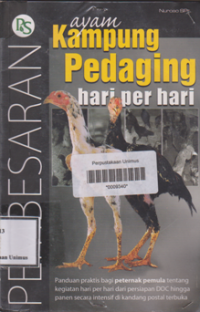 PEMBESARAN AYAM KAMPUNG PEDAGING HARI PER HARI